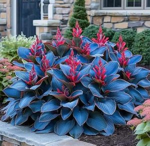 Хоста Грин Фог купить по цене от 669р. в интернет-магазине «Посадика» с доставкой почтой в в Клинцые и по всей России – [изображение №1].