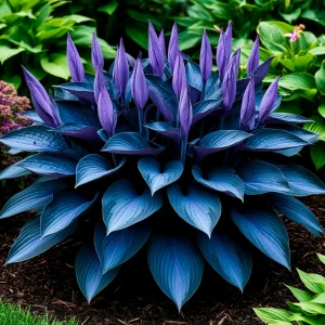 Хоста Сикрет Гров купить по цене от 570р. в интернет-магазине «Посадика» с доставкой почтой в в Клинцые и по всей России – [изображение №1].