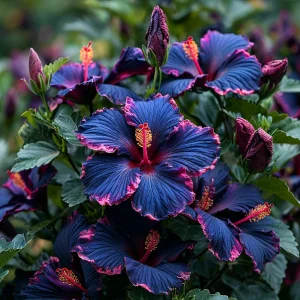 Гибискус Голден Глоу купить по цене от 259р. в интернет-магазине «Посадика» с доставкой почтой в в Клинцые и по всей России – [изображение №1].