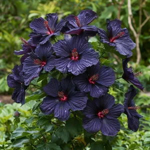 Гибискус Мэджик Момент купить по цене от 699р. в интернет-магазине «Посадика» с доставкой почтой в в Клинцые и по всей России – [изображение №1].